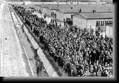 Survivors greet American liberators, Dachau, April 29, 1945 * 640 x 439 * (65KB)